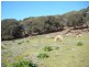 Lots 1 and 2 Palana Road, Palana TAS 7255