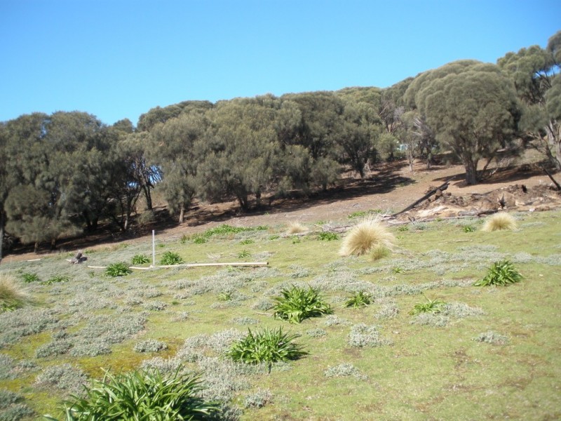 Lots 1 and 2 Palana Road, Palana TAS 7255