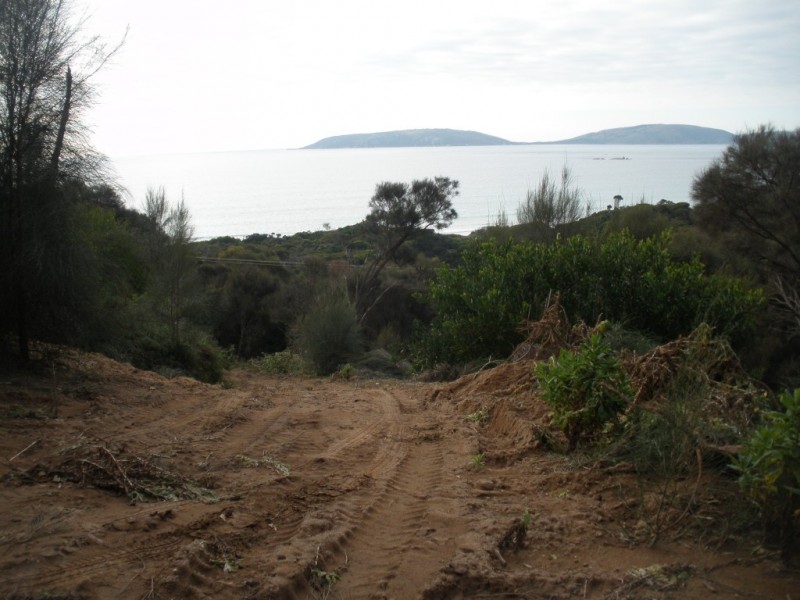 Lots 10 and 11 Palana Road, Palana TAS 7255