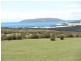27667/1 Palana Road, Palana, Flinders Island TAS 7255
