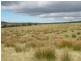 27667/1 Palana Road, Palana, Flinders Island TAS 7255