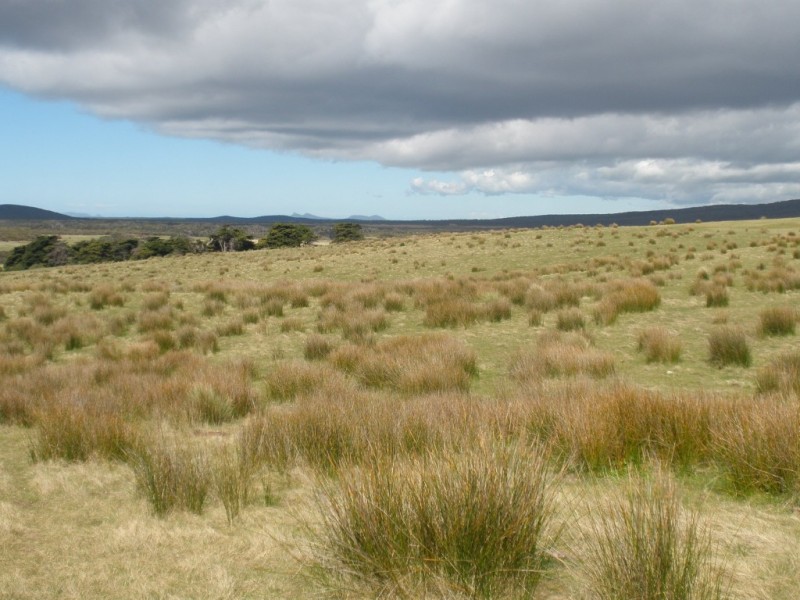 27667/1 Palana Road, Palana, Flinders Island TAS 7255