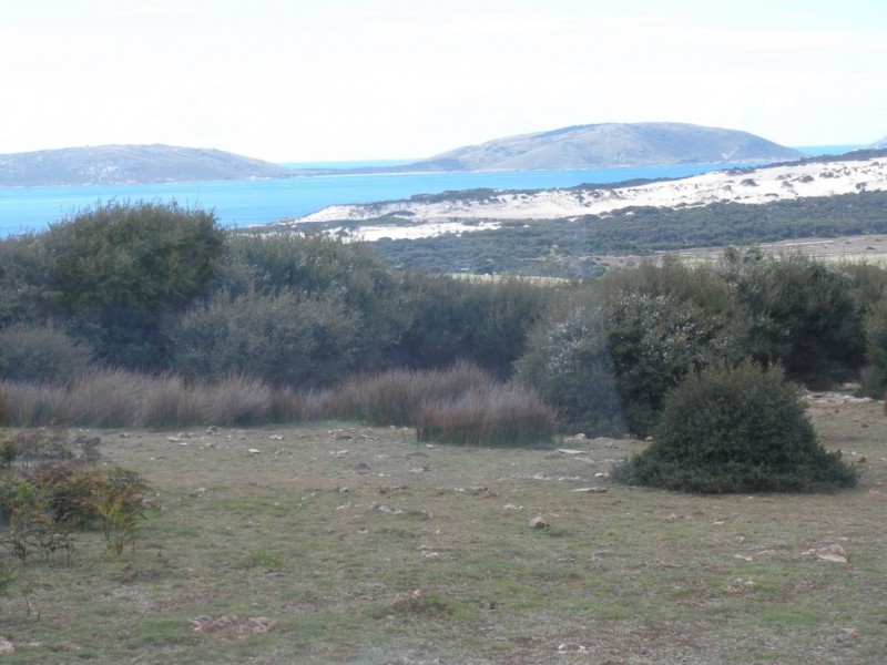 27667/1 Palana Road, Palana, Flinders Island TAS 7255