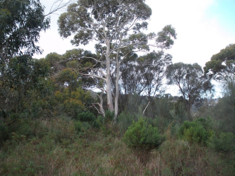 8843/1 West End Road, Pine Scrub, Tanners Bay, Leeka TAS 7255