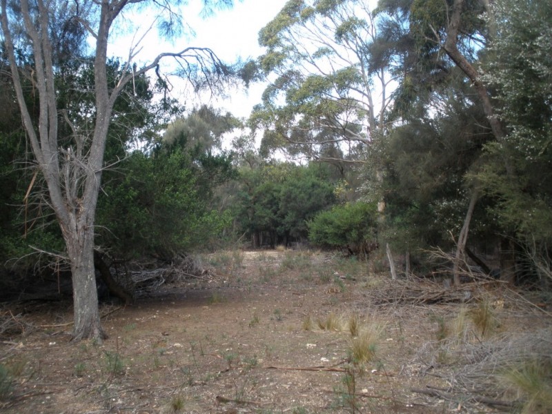 8843/1 West End Road, Pine Scrub, Tanners Bay, Leeka TAS 7255