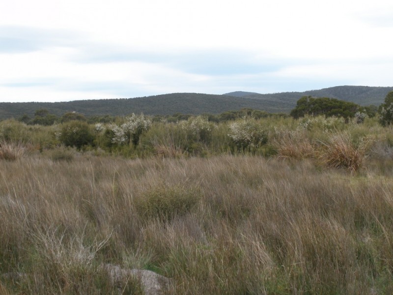 Cnr Fairhaven and Melrose Road, Emita, Flinders Island TAS 7255