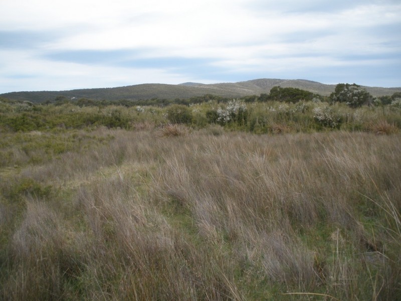 Cnr Fairhaven and Melrose Road, Emita, Flinders Island TAS 7255