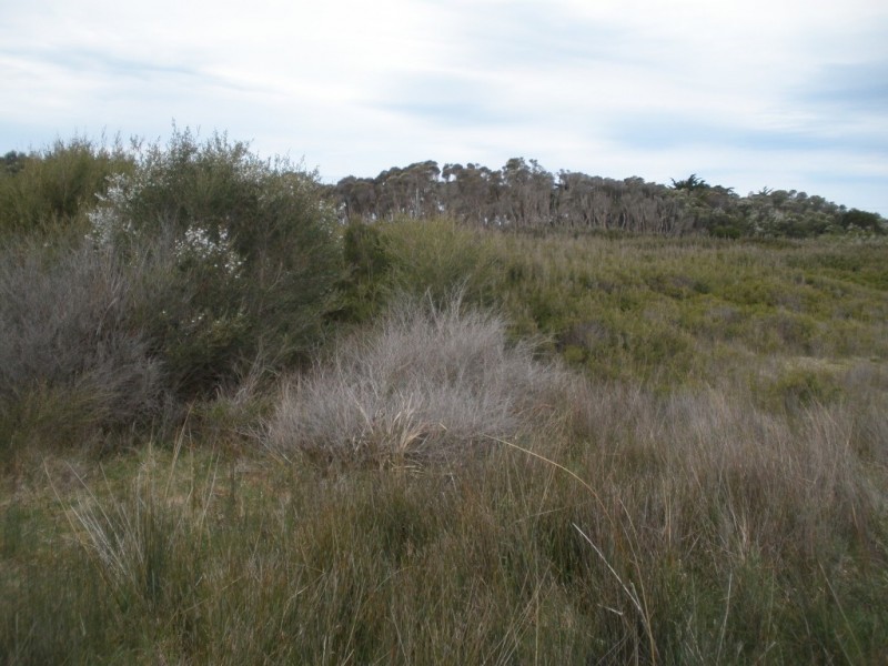 Cnr Fairhaven and Melrose Road, Emita, Flinders Island TAS 7255