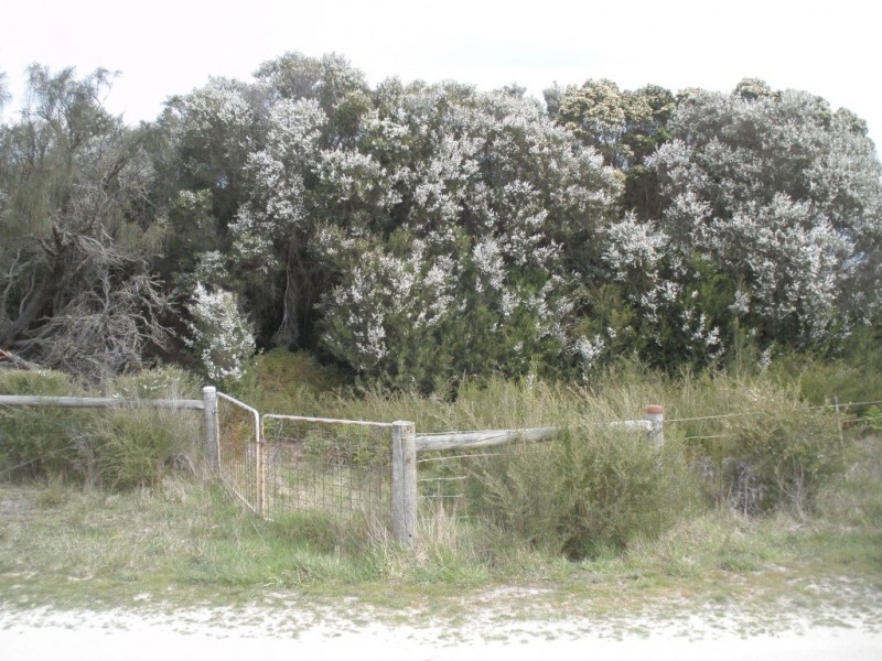 Cnr Fairhaven and Melrose Road, Emita, Flinders Island TAS 7255