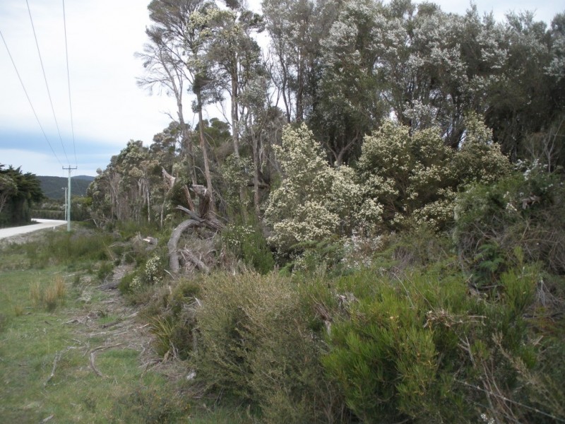 Cnr Fairhaven and Melrose Road, Emita, Flinders Island TAS 7255