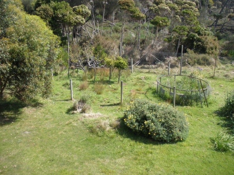 34 Fowlers Road, Emita, Flinders Island TAS 7255