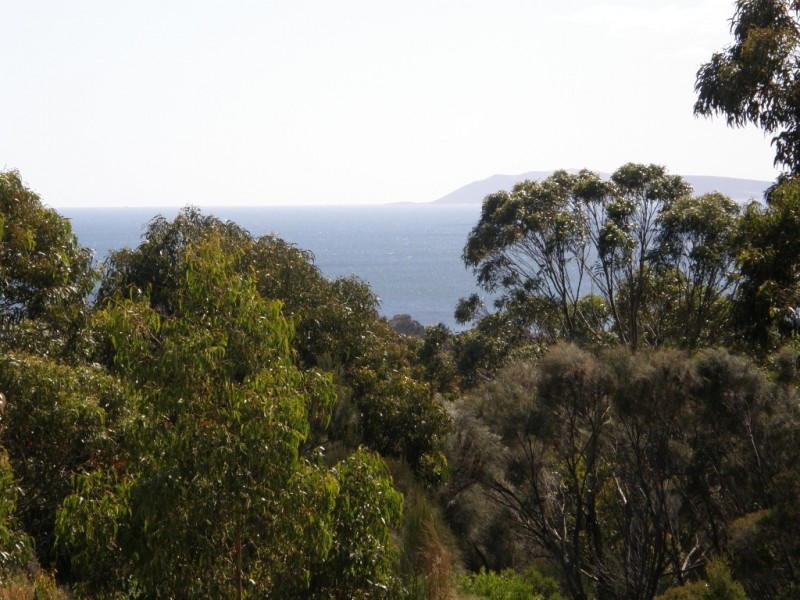 PID 2087525 Palana Road, Blue Rocks, Flinders Island TAS 7255