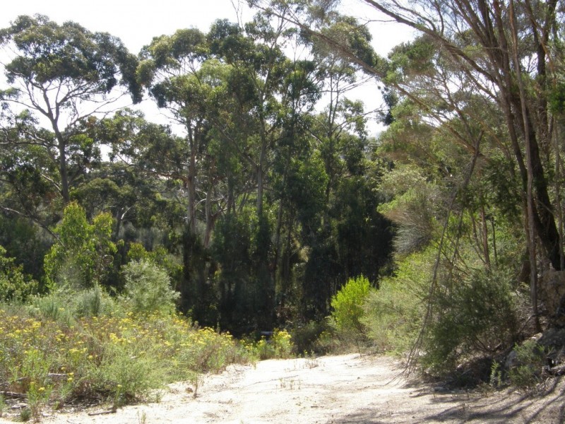 PID 2087525 Palana Road, Blue Rocks, Flinders Island TAS 7255