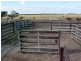 1455 Memana Road, Flinders Island TAS 7255