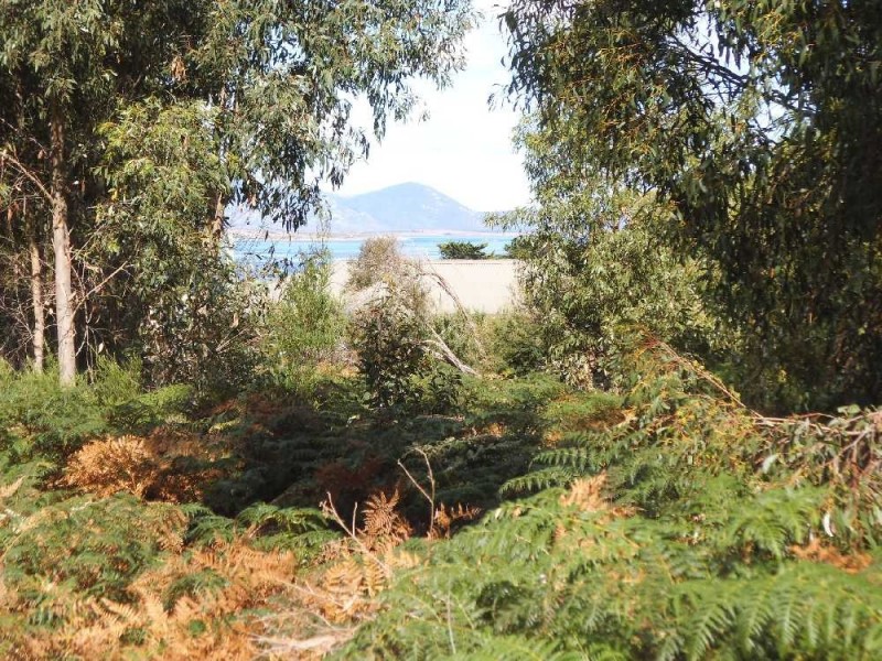 10 Gunter Street, Lady Barron, Flinders Island TAS 7255