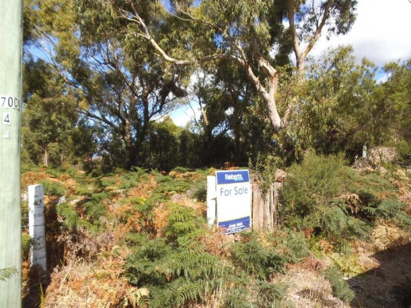 10 Gunter Street, Lady Barron, Flinders Island TAS 7255