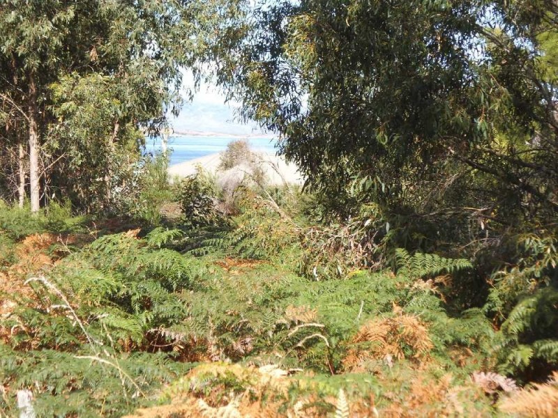 10 Gunter Street, Lady Barron, Flinders Island TAS 7255