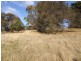 Lot 5 Port Davies Road, Emita, Flinders Island TAS 7255