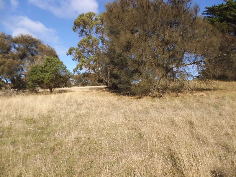 Lot 5 Port Davies Road, Emita, Flinders Island TAS 7255