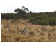 115105/1 North East River Road, Palana, Flinders Island TAS 7255