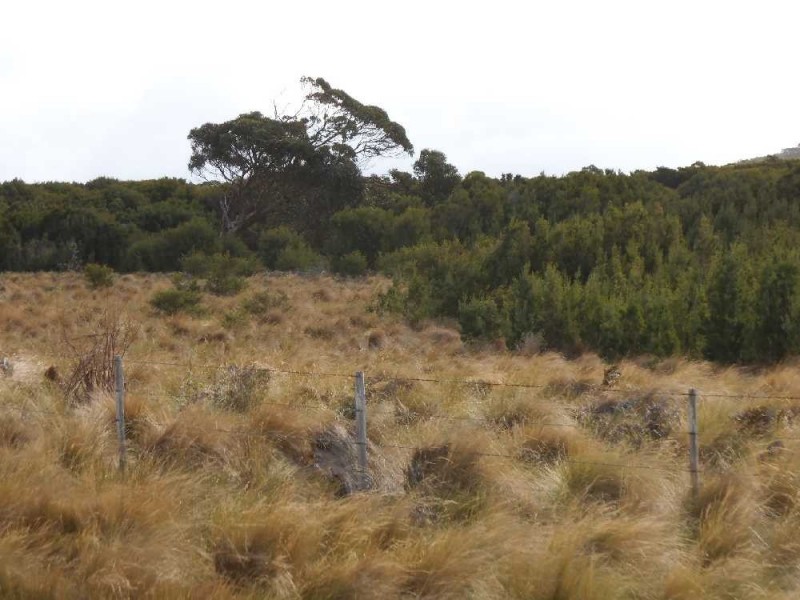 115105/1 North East River Road, Palana, Flinders Island TAS 7255