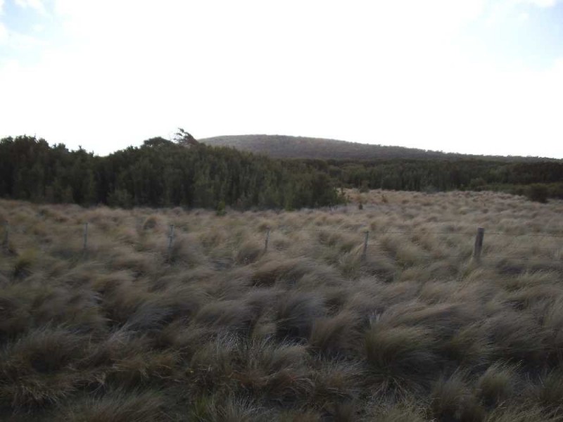 115105/1 North East River Road, Palana, Flinders Island TAS 7255