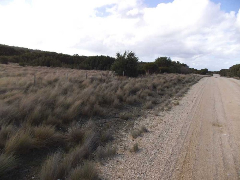 115105/1 North East River Road, Palana, Flinders Island TAS 7255