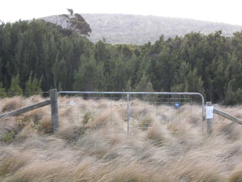 115105/1 North East River Road, Palana, Flinders Island TAS 7255