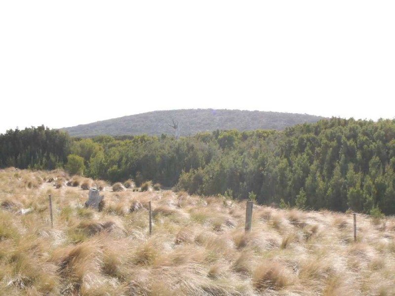 115105/1 North East River Road, Palana, Flinders Island TAS 7255