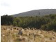115105/1 North East River Road, Palana, Flinders Island TAS 7255