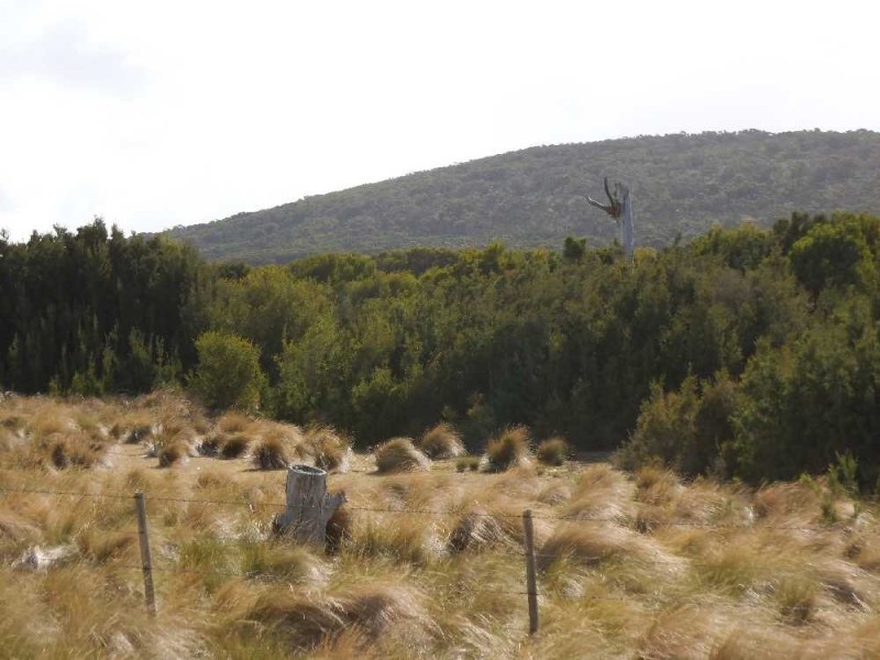 115105/1 North East River Road, Palana, Flinders Island TAS 7255