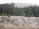 115105/1 North East River Road, Palana, Flinders Island TAS 7255