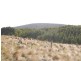 115105/1 North East River Road, Palana, Flinders Island TAS 7255