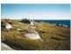 . Long Beach Road, Cape Barren Island, Flinders Island TAS 7255