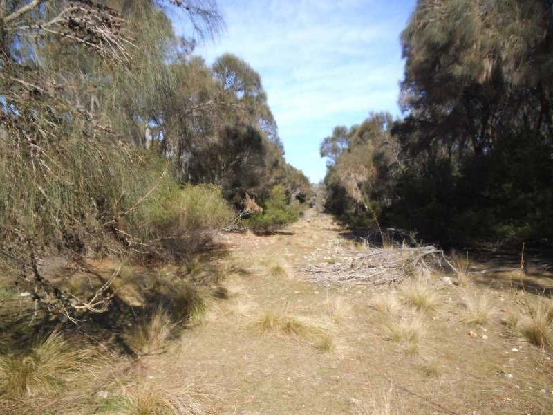 . Five Mile Road, Lughrata TAS 7255