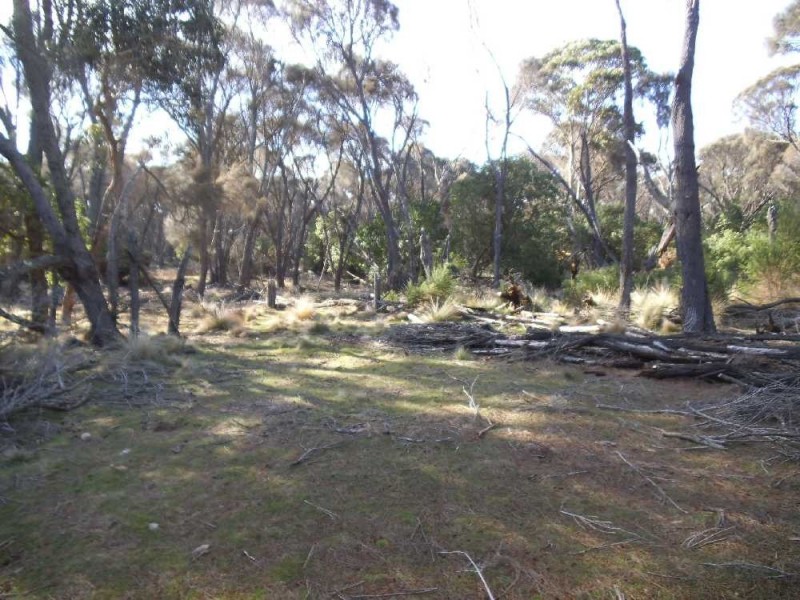 . Five Mile Road, Lughrata TAS 7255