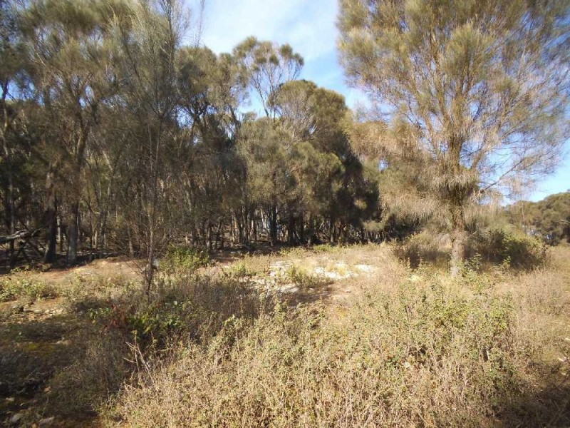 . Five Mile Road, Lughrata TAS 7255