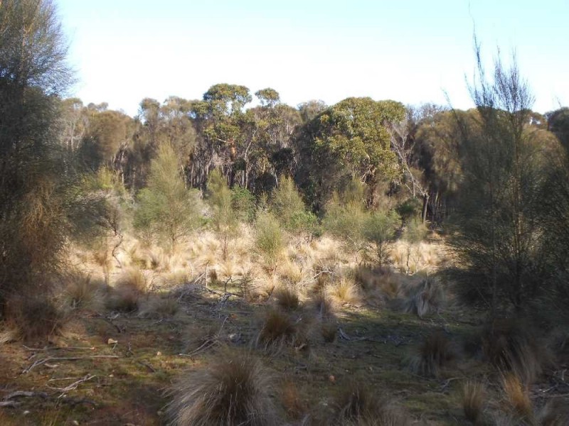 . Five Mile Road, Lughrata TAS 7255