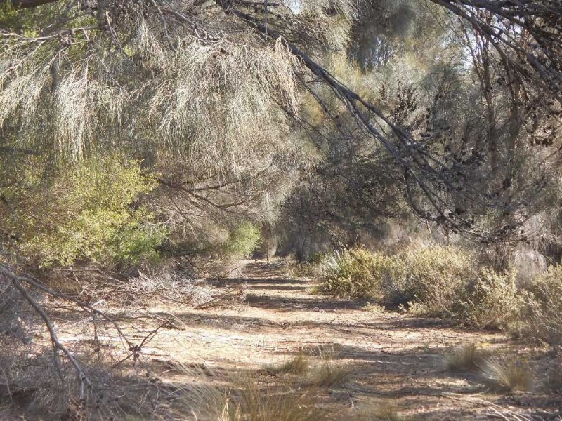 . Five Mile Road, Lughrata TAS 7255