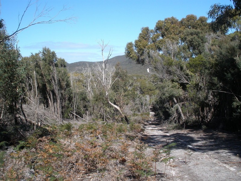 2186638 Boat Harbour Road, Killiecrankie, Flinders Island TAS 7255