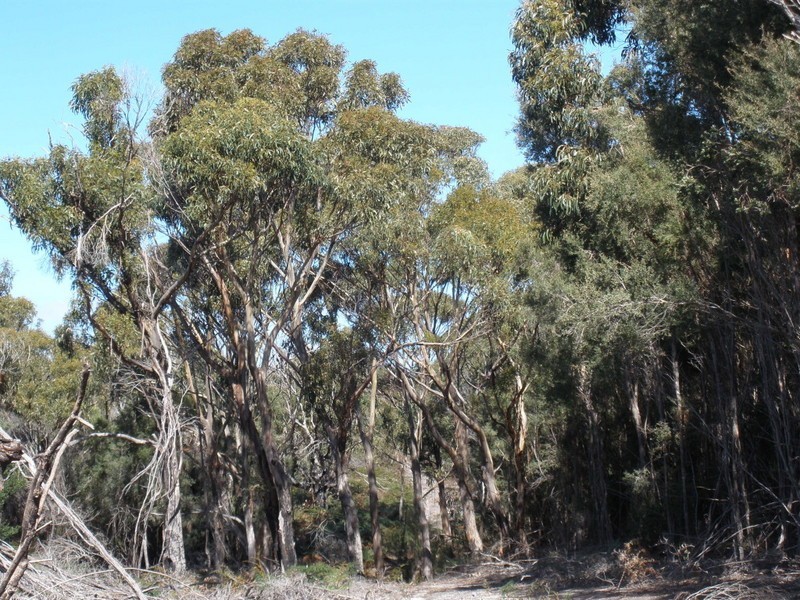 2186638 Boat Harbour Road, Killiecrankie, Flinders Island TAS 7255