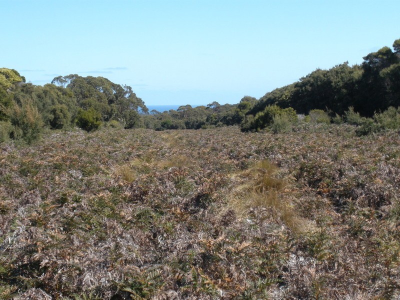 2186638 Boat Harbour Road, Killiecrankie, Flinders Island TAS 7255