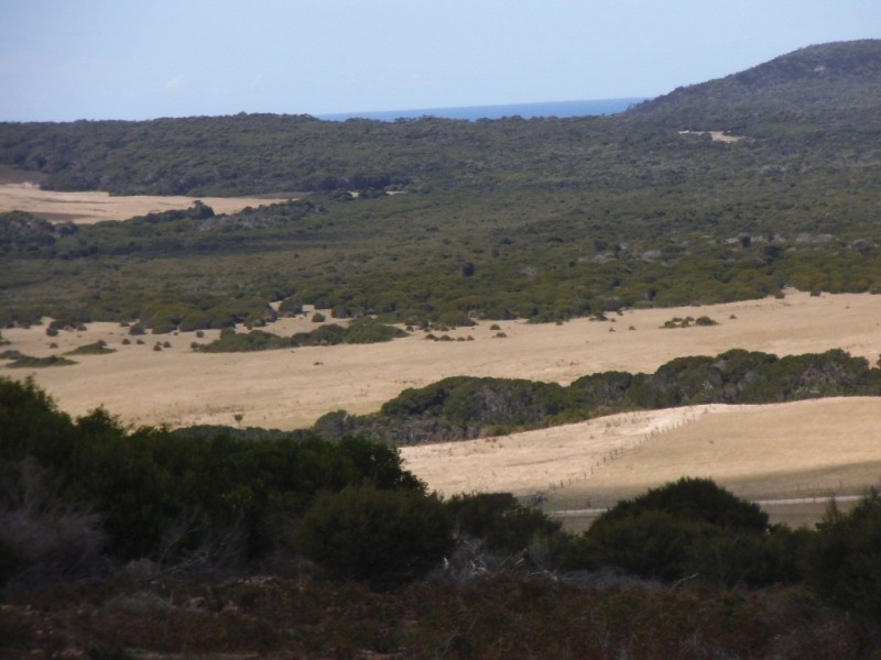 27667/2 Palana Road, Palana, Flinders Island TAS 7255