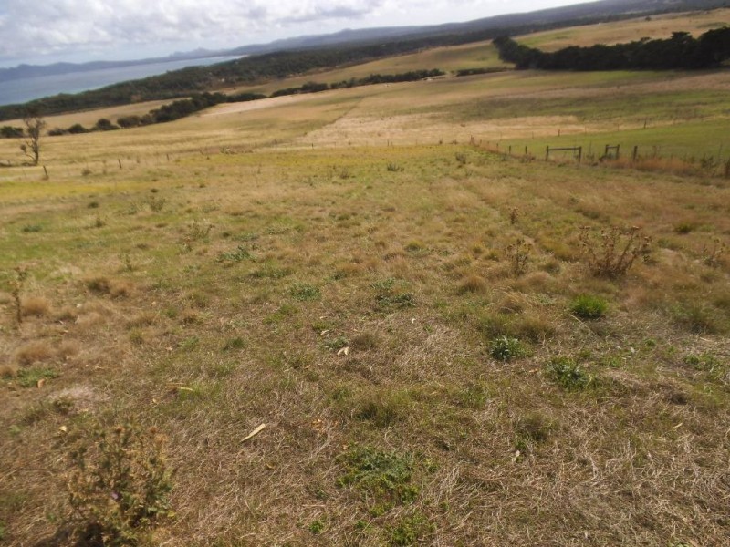 45519/5 Port Davies Road, Emita, Flinders Island TAS 7255