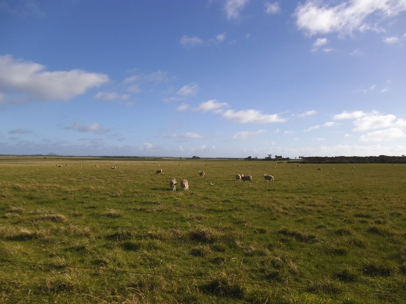 390 Lady Barron Road, Ranga, Flinders Island TAS 7255