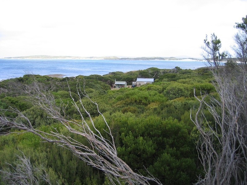 . Passage Island, Flinders Island TAS 7255