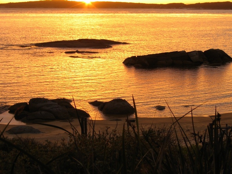 . Passage Island, Flinders Island TAS 7255