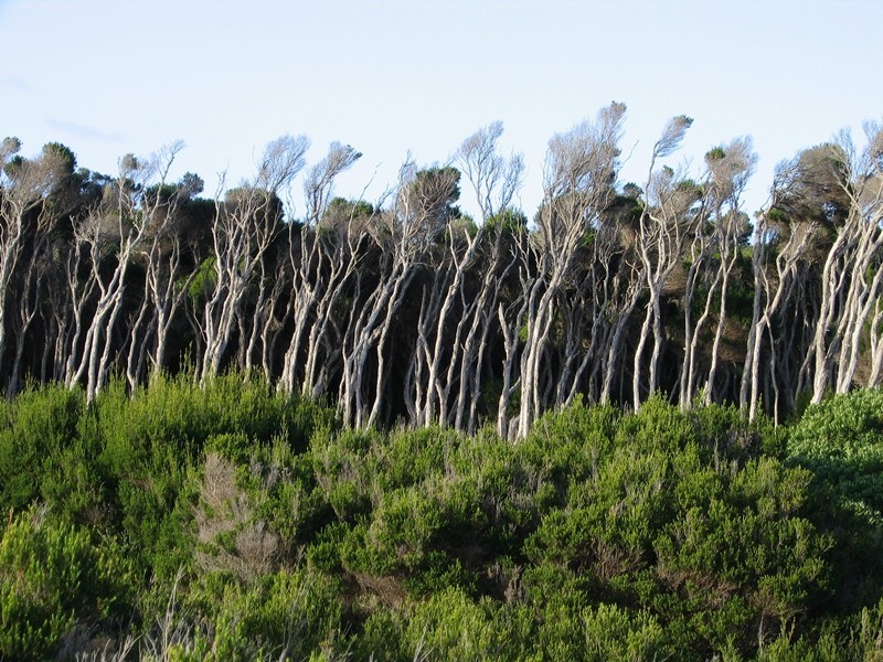 . Passage Island, Flinders Island TAS 7255