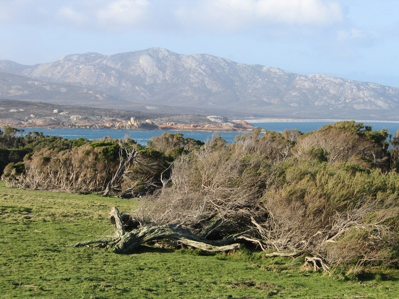 . Passage Island, Flinders Island TAS 7255