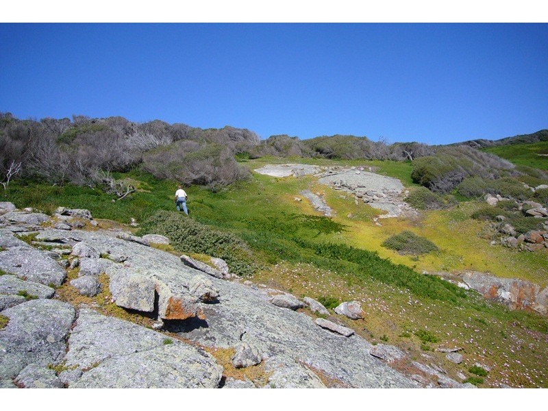 . Passage Island, Flinders Island TAS 7255